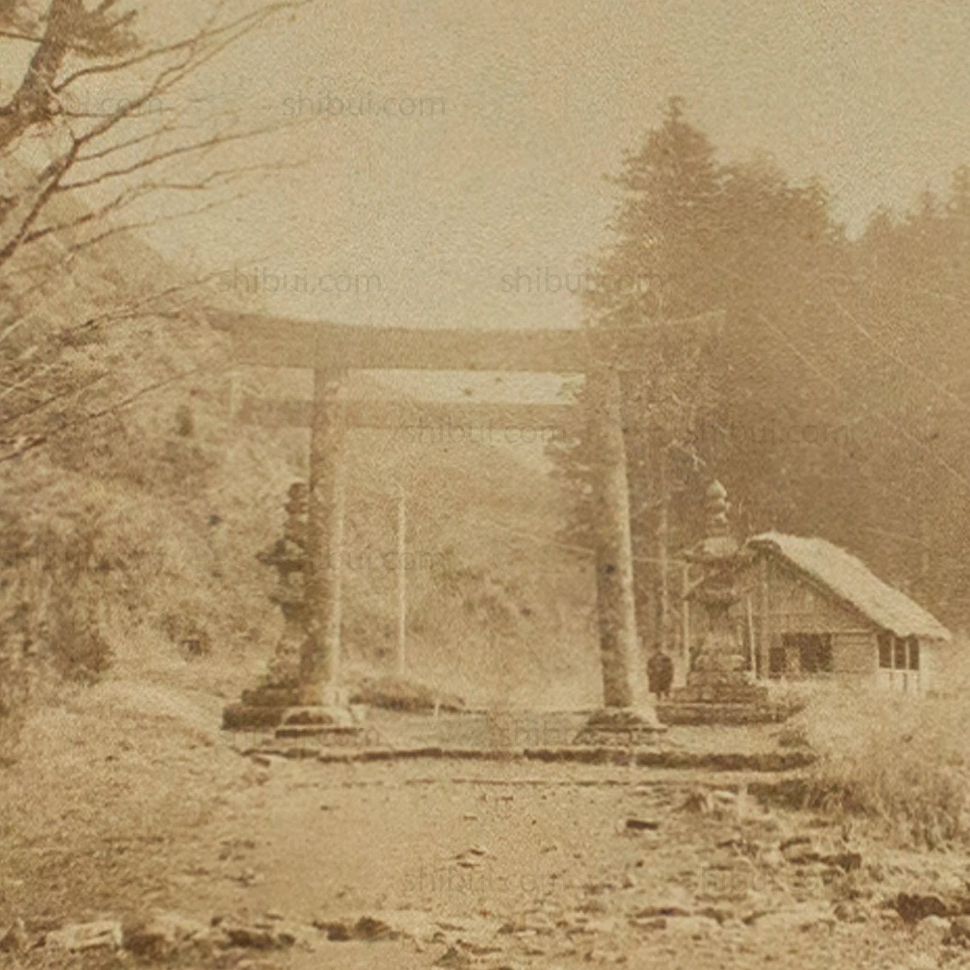 Antique Japanese Albumen Photo of Ashinoko Lake - Image 3