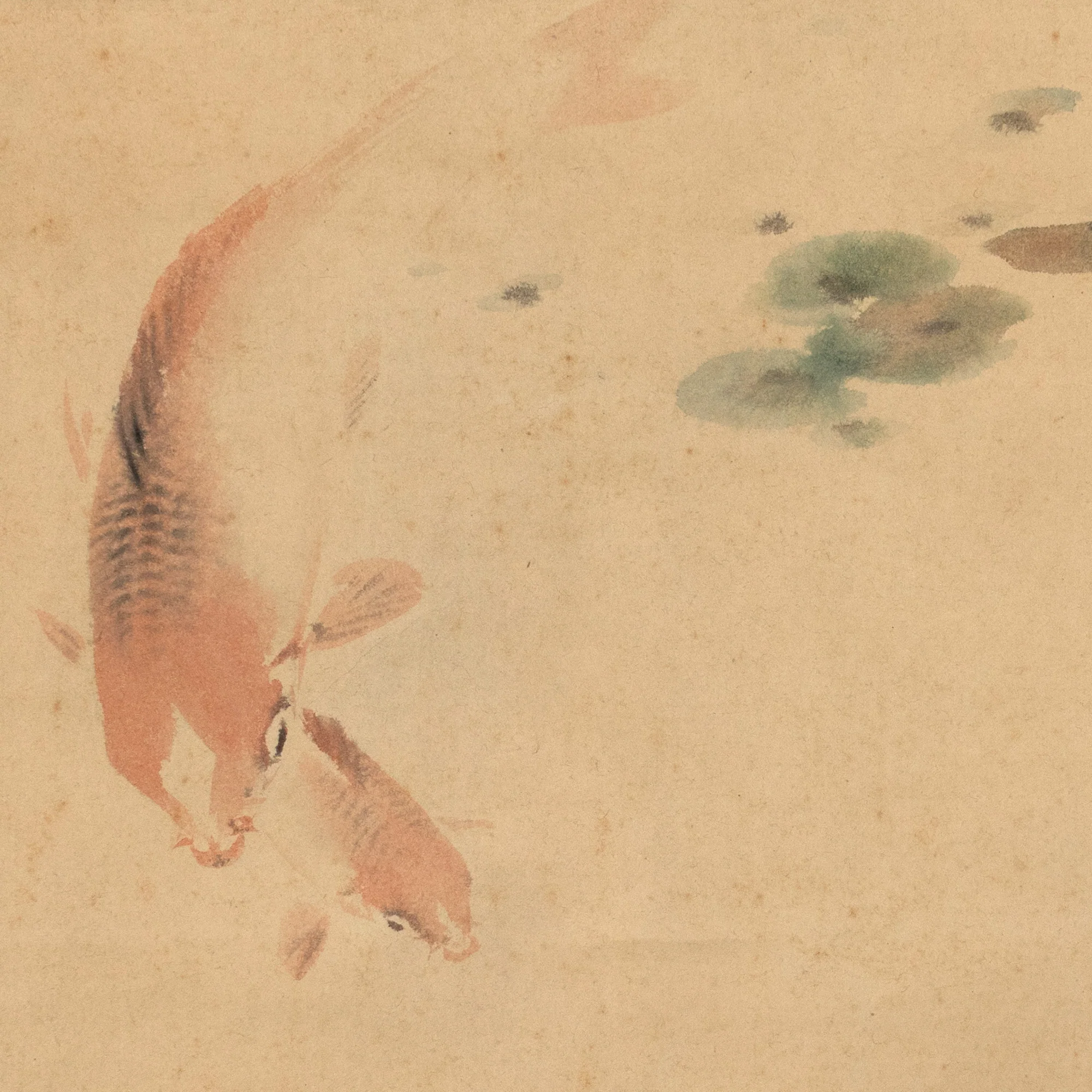 Red Koi Kakejiku - Hanging Scroll - Image 3